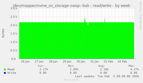 /dev/mapper/nvme_os_storage-swap--bak - read/write